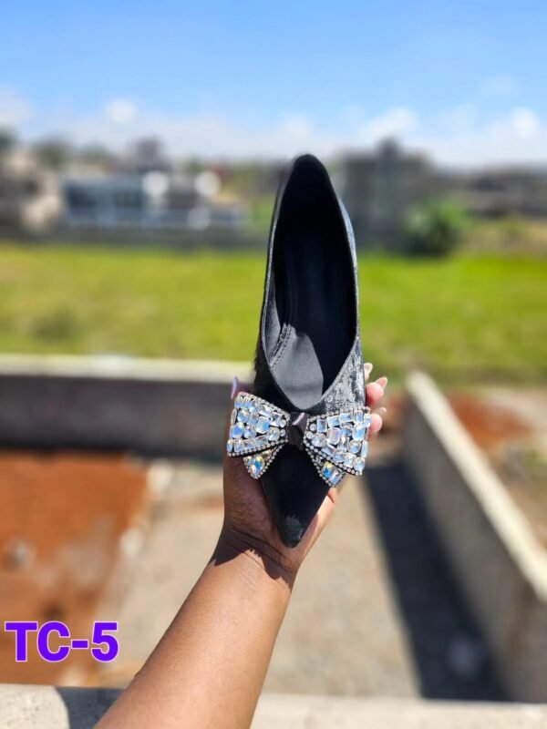 Women’s Elegant Pointed Toe Flats