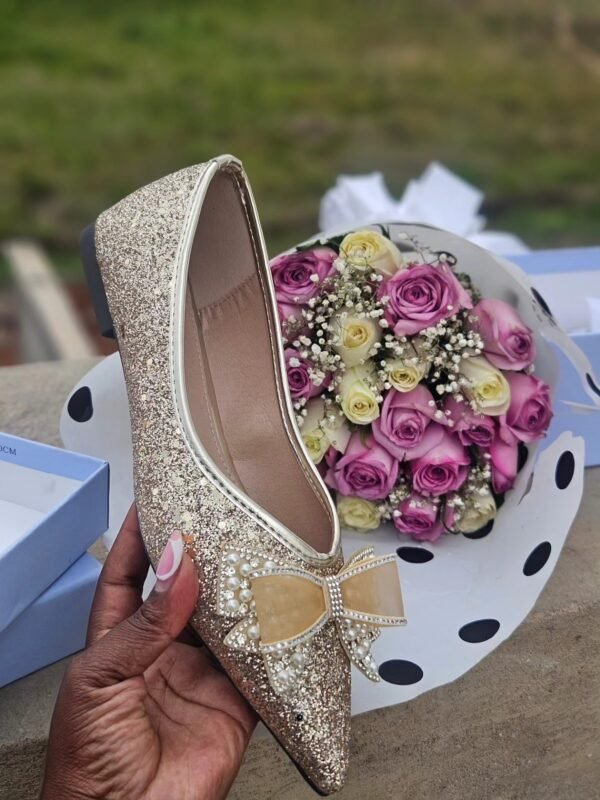 The Luxury Pointed Single Shoe Women’s 2025