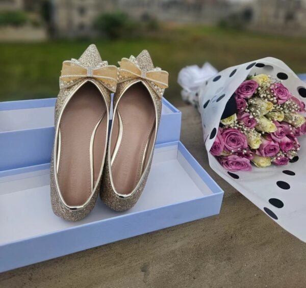 Luxury Pointed Single Shoe Women’s 2025