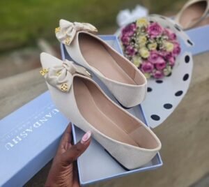 The Luxury Pointed Single Shoe Women’s 2025