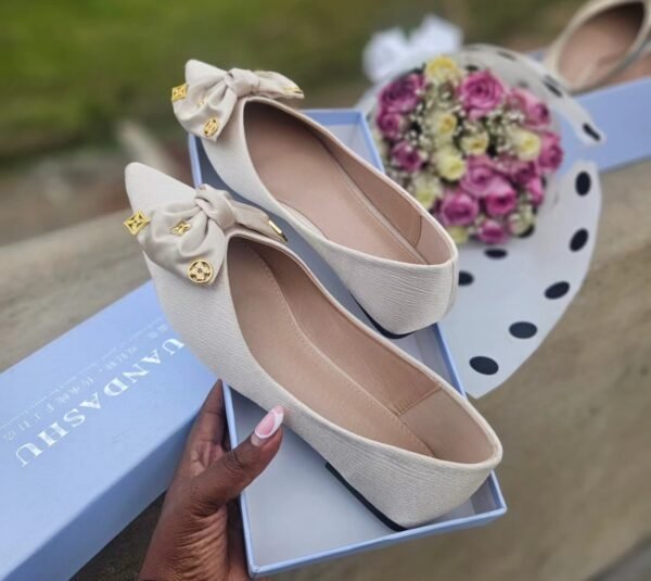 The Luxury Pointed Single Shoe Women’s 2025